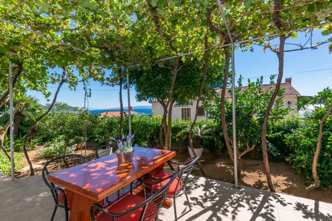 טרוגיר Apartments Babaja מראה חיצוני תמונה