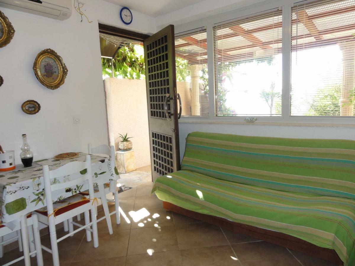 טרוגיר Apartments Babaja מראה חיצוני תמונה